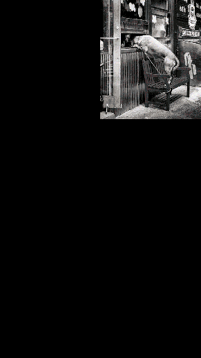 6grid_Photography-comp-mock-up